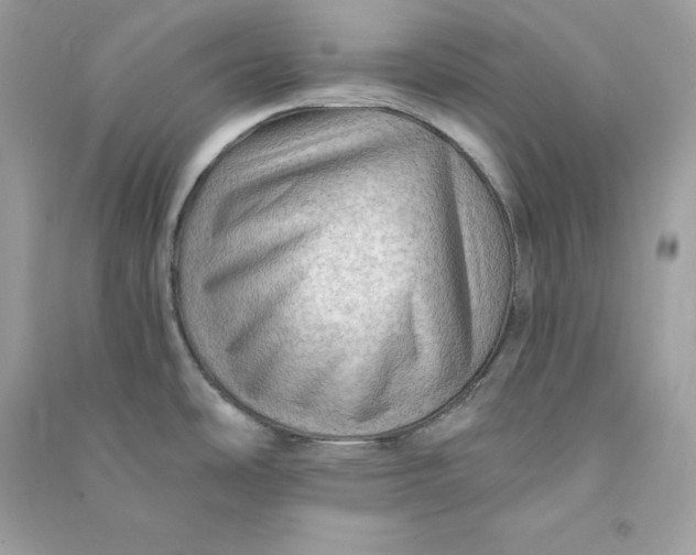 X0000090781486200708101821