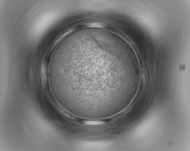 X0000090781487200708101821