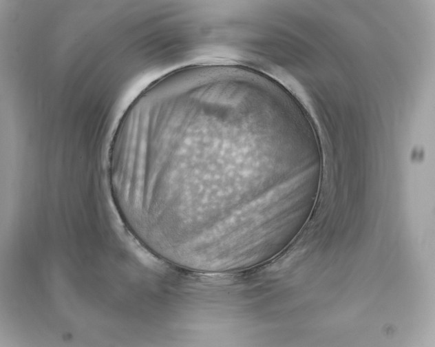 X0000090781488200708101821