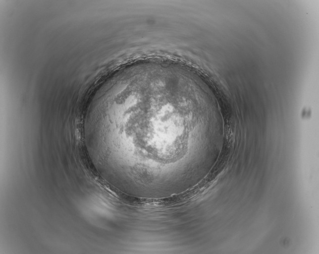 X0000090781490200708101820