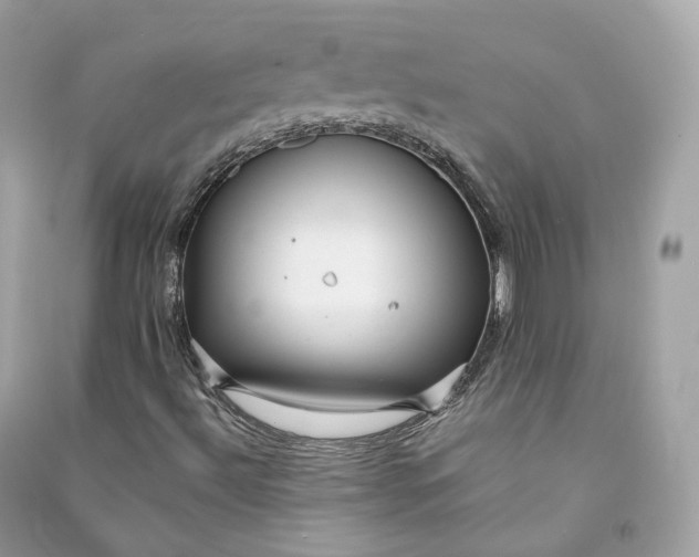 X0000090781492200708101820