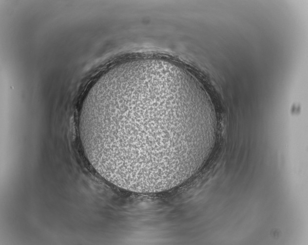 X0000090781493200708101820