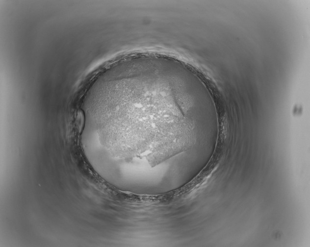 X0000090781494200708101820