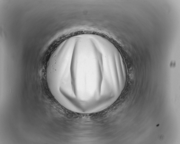 X0000090781495200708101820