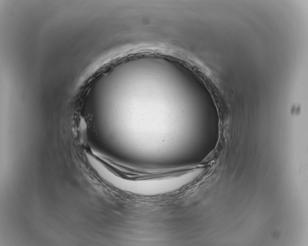X0000090781496200708101820