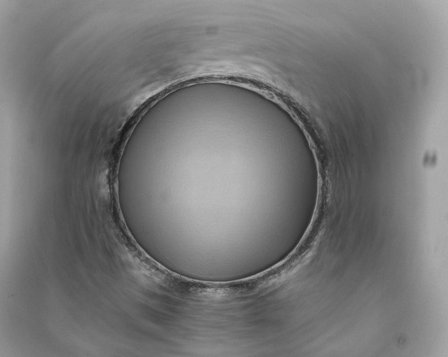X0000090781497200708101820