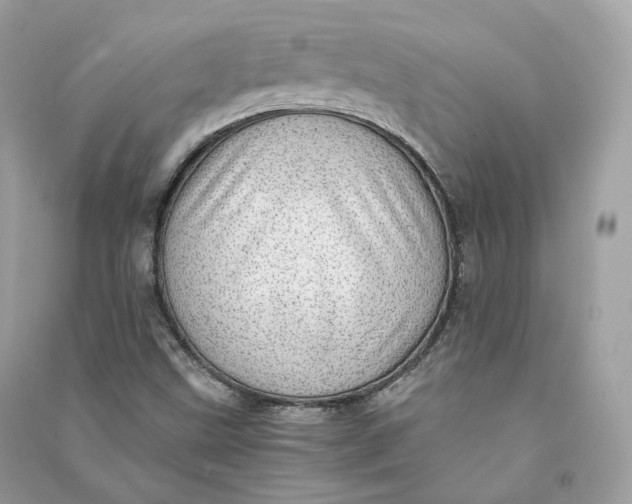X0000090781499200708101820