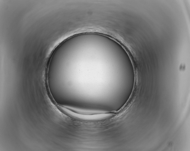 X0000090781500200708101820