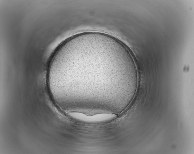 X0000090781503200708101820