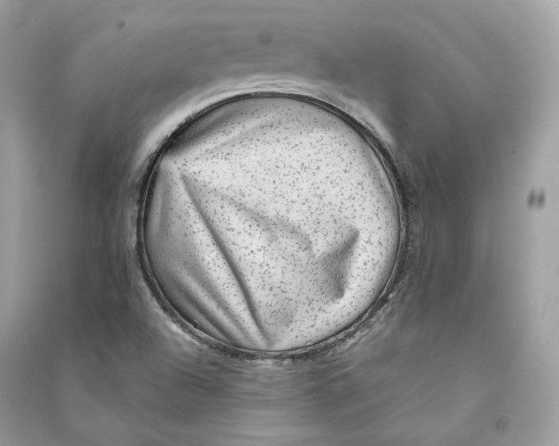 X0000090781504200708101820