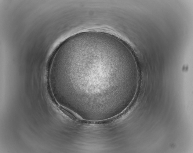 X0000090781506200708101820