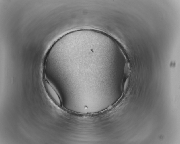 X0000090781508200708101820