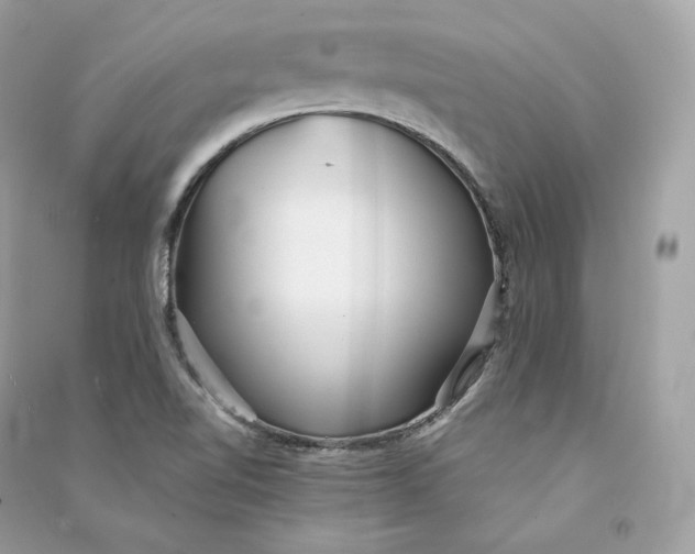X0000090781510200708101820