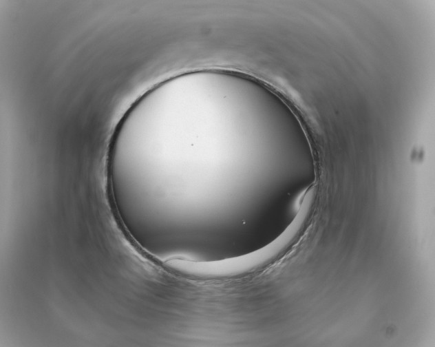 X0000090781512200708101820