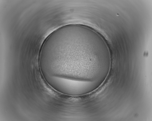 X0000090781513200708101820