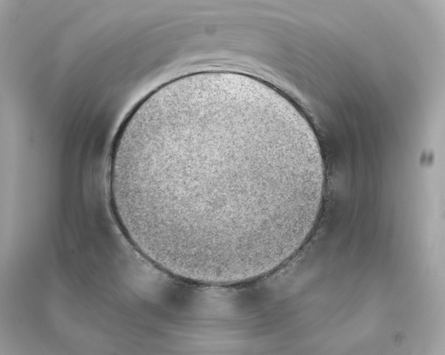 X0000090781514200708101820