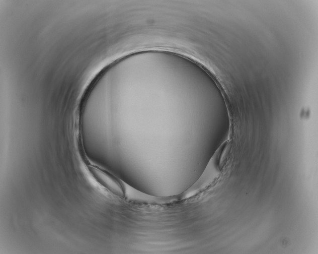 X0000090781515200708101820