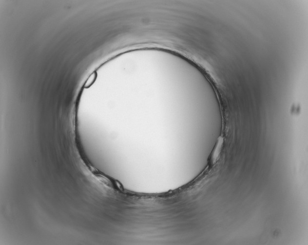 X0000090781516200708101821