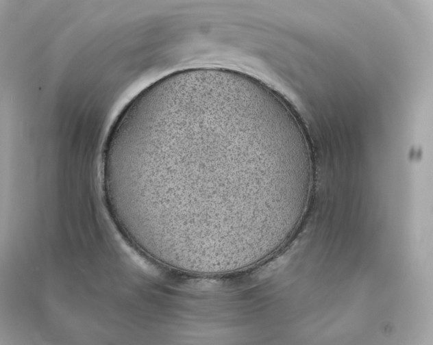X0000090781517200708101821