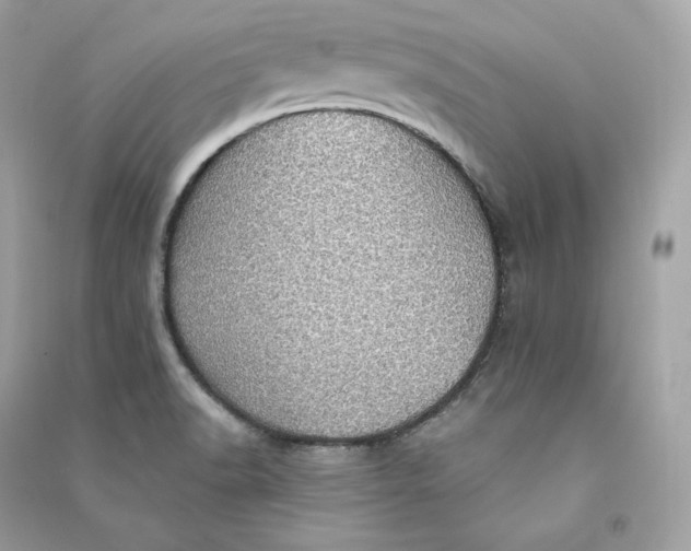 X0000090781518200708101821