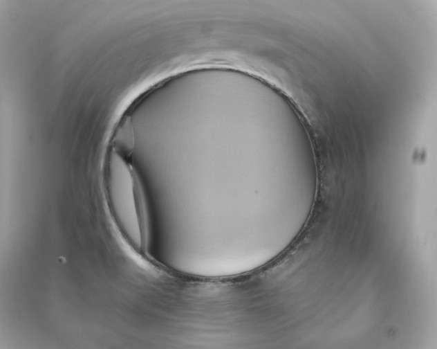 X0000090781519200708101821