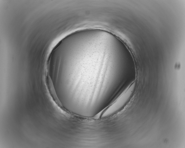 X0000090781520200708101821