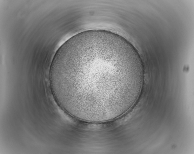 X0000090781521200708101821