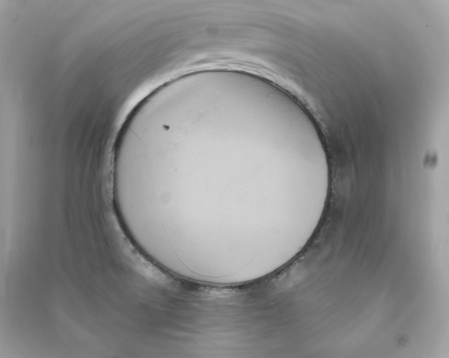 X0000090781522200708101821