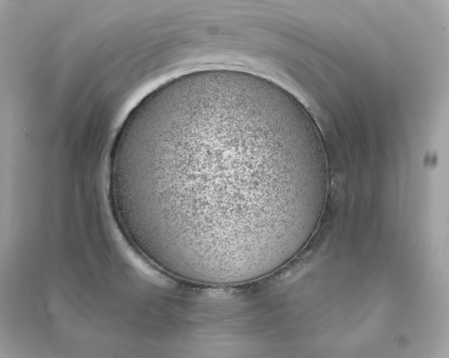 X0000090781523200708101821
