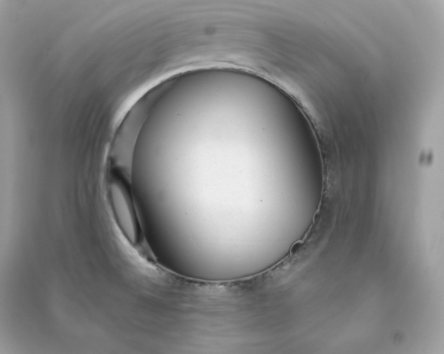 X0000090781524200708101821