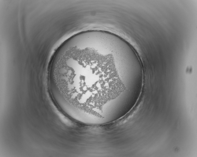 X0000090781525200708101821