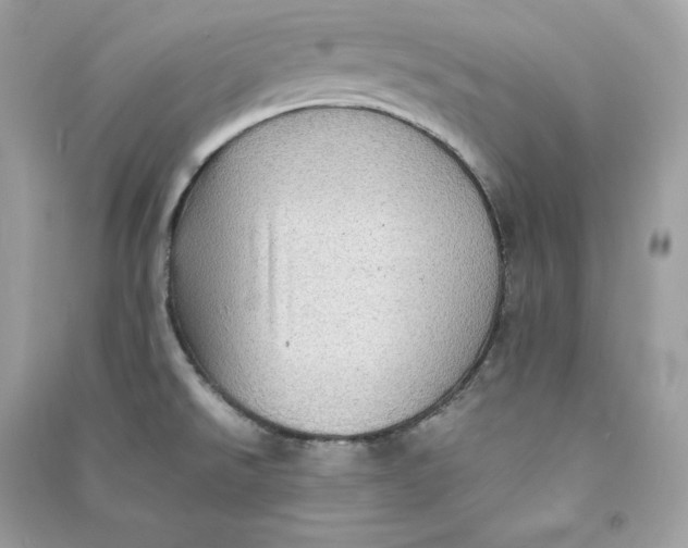 X0000090781526200708101821