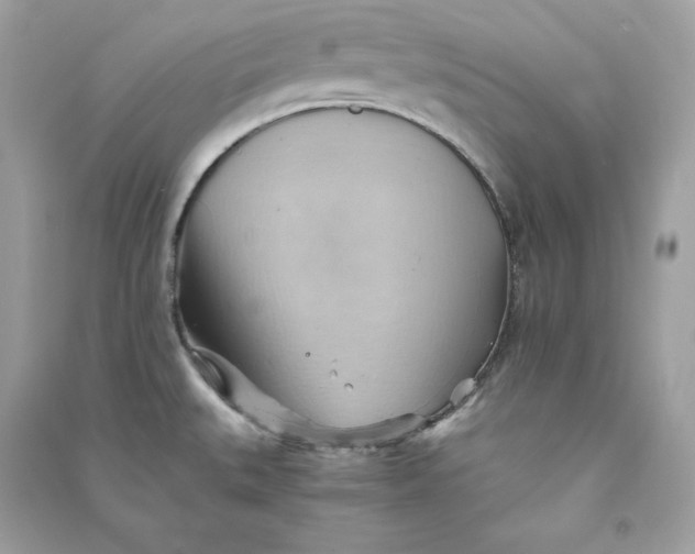 X0000090781527200708101821