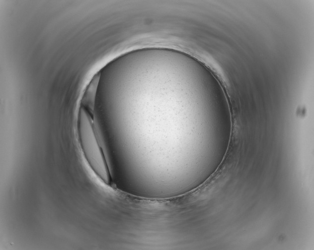 X0000090781528200708101821