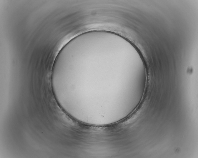 X0000090781529200708101821