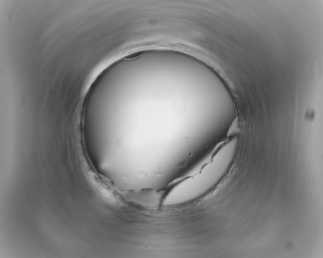 X0000090781530200708101821