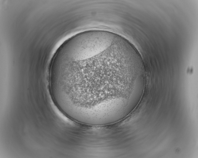 X0000090781531200708101821