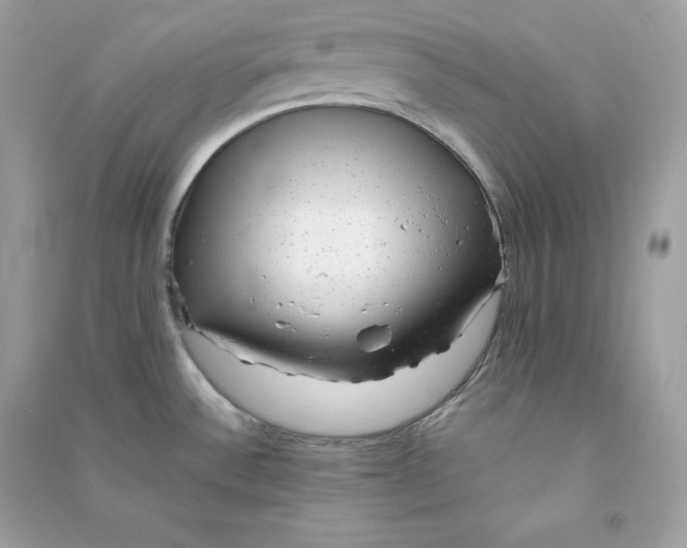 X0000090781532200708101821
