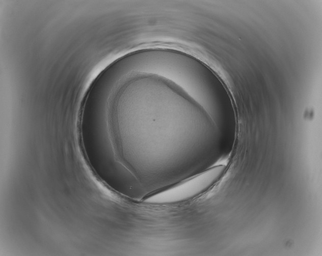 X0000090781533200708101821