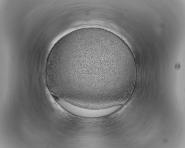 X0000090781534200708101821