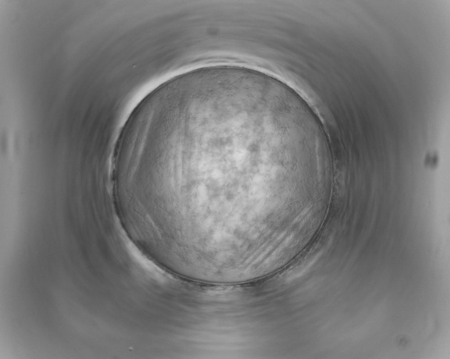 X0000090781535200708101821