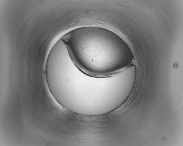 X0000090781536200708101821