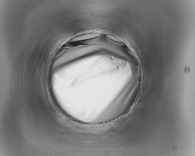 X0000090780001200708172137
