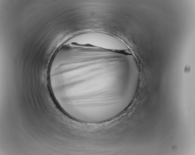 X0000090780002200708172137