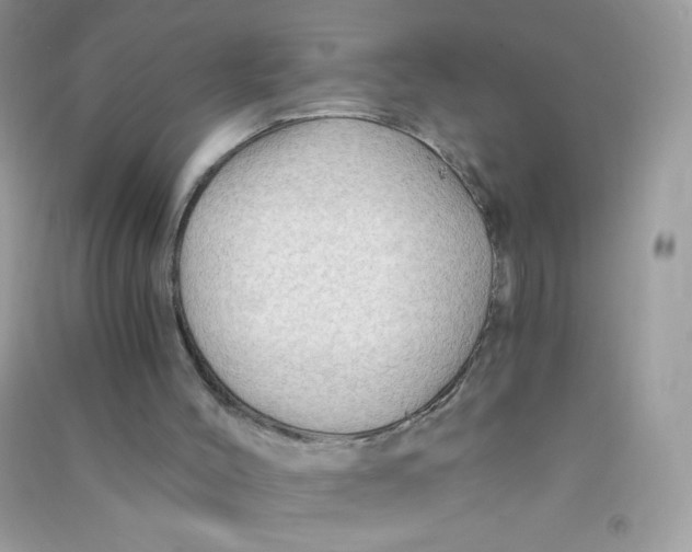 X0000090780004200708172137