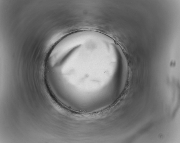 X0000090780005200708172137