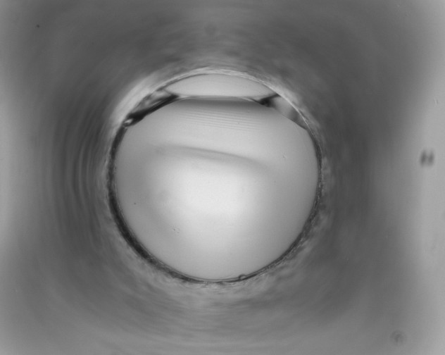 X0000090780007200708172137