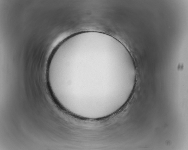 X0000090780008200708172137
