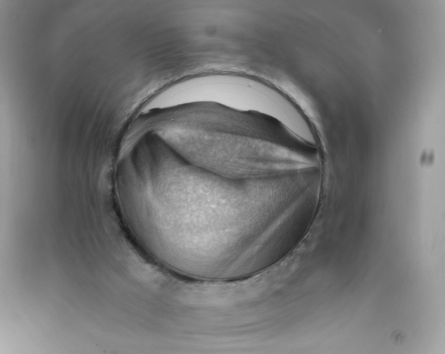X0000090780009200708172137
