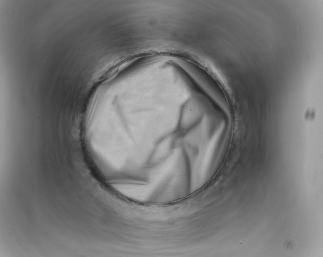 X0000090780010200708172137